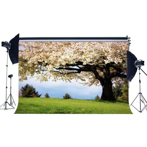 Photography Backdrop Wedding Cherry Blossom Flowers Old Tree Green Grass Field Nature Background