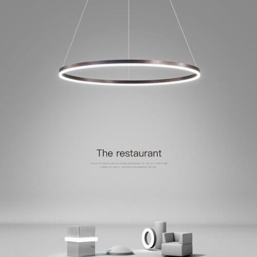 Ceiling chandelier LED modern chandelier dining room light Nordic designer single head round minimalist living room ring chandel