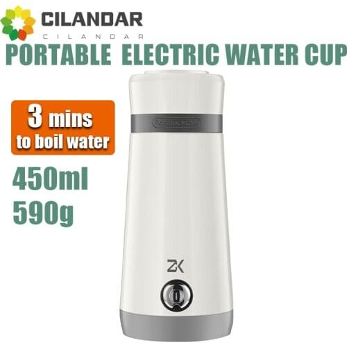 Travel portable electric kettle 304 stainless steel kettle mini dormitory stewing health pot brewing milk powder coffee tea