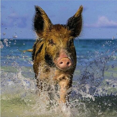 MHD 5d diy diamond painting wild boar animal full square / round rhinestone 3d diamond embroidery mosaic decoration kit