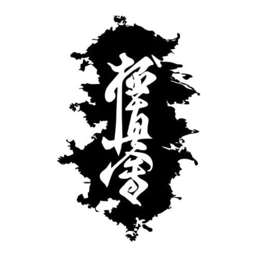 17X10 Hieroglyph Karate. Kyokushinkai funny car sticker vinyl decal silver/black for auto car stickers styling N2071