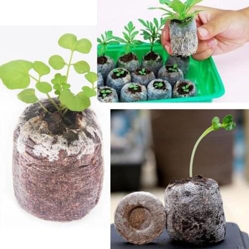 10 Pieces Seedling Soil Block Peat Pellets Seed Starting Plugs Pallet Seedling Condense Soil Block Nursery Seed Fertilizer Plant