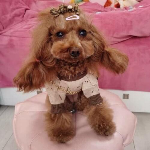 French Bulldog Yorkshire Winter Warm Sweater Dog Clothes Pet Puppy Hoodie Pug Teddy Jacket Coat Dogs Costume Dropshipping LYC06