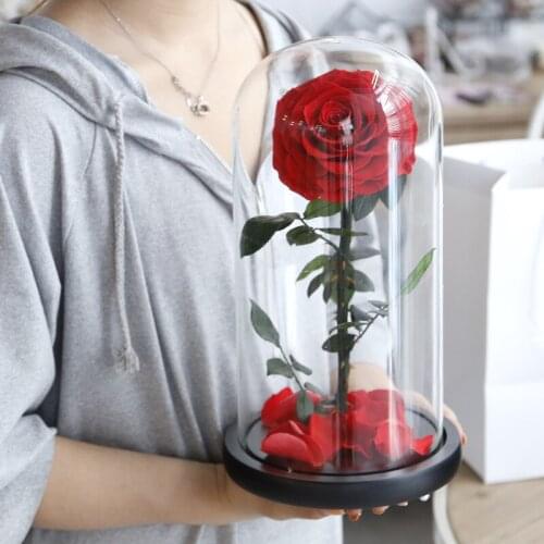 Big Glass Cover Eternal Preserved Fresh Flower Barbed Rose Flores Rose Immortal Rose for Valentines Day Mothers Day Gifts