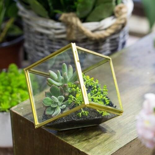 3.9inches Copper Brass Squares Inclined Cube Glass Geometric Terrarium Box Succulent Plant Moss Container Planter with Swing Lid