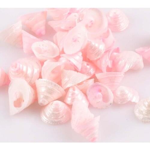Pink Natural Spiral Conch Shells Loose Beads for Craft Making Handmade 30pcs 11-19mm TRS0241X