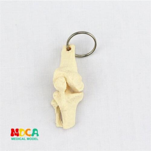 Human joint key lock ornament gift pendant key buckle human.organ anatomy medical teaching toy YSK018