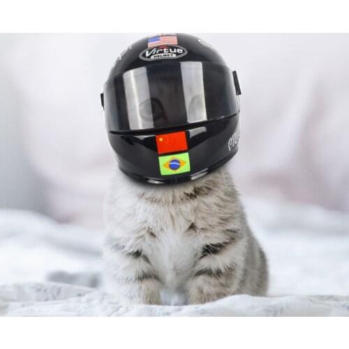 Pet helmet cat helmet pet motorcycle hat pet mini motorcycle helmet dog hat