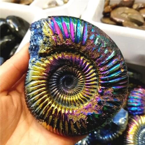 1pcs 6-7cm High quality Aura Natural Ammonite Fossil Shell Electroplating Colorful Fossil shell Collection Mineral Specimen