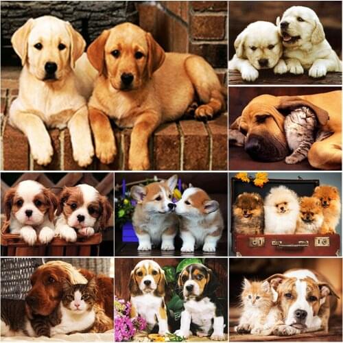 5D DIY Diamond Painting Full Square Round Drill Cat Dog Flower Diamond Embroidery Scenery Cross Stitch Home Decor Manual Gift