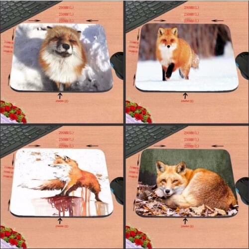 Mairuige Cheap Best Funny Animals Deserts Ear Fox Funny Custom Mouse Pad for Size 18*22cm and 25*29cm And 25*20cm As Gift