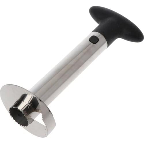 Easy Kitchen Tool Stainless Steel Pineapple Fruit Corer Slicer Cutter Peeler New