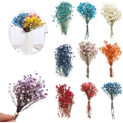 1Bag Colorful Crystal Grass Real Pressed Dried Flowers Floral Plants For DIY Scrapbooking Card Making Art Craft Decoration