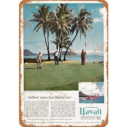 Tin Sign Cat Baking Because Murder is Wrong Poster Street Garage Family Cafe Bar Farm Bathroom Door Wall Decoration Retro