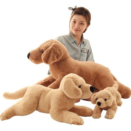 Dorimytrader cute labrador dog plush doll large dog toy for children birthday gift 31inch 80cm DY50600