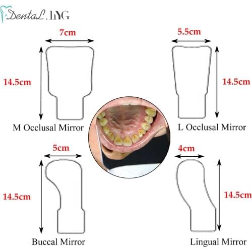 Dental Oral Photography Mirrors Orthodontics Defog Imaging Reflector Occlusal Buccal Lingual Oral Mirror for Photography