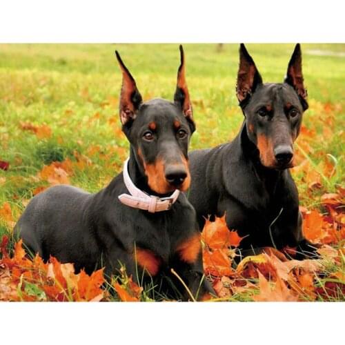 Animal Dog DIY Embroidery 11CT Cross Stitch Kits Craft Needlework Set Printed Canvas Home Decoration Dropshipping New Design