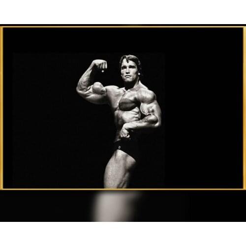 06 ARNOLD SCHWARZENEGGER Bodybuilding Motivational Gigantic Strong Wall Prints Poster Silk Art Painting Decor Christmas Gift