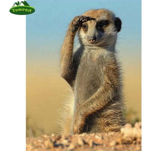 Diamond Embroidery Animal 5D Diy Diamond Painting Meerkat Cross Stitch Full Square Mosaic Kits Diamond Art Picture of Rhinestone
