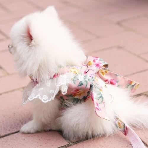 2020 New Arrival Fashion Pet Dog Harness and Leash Set for Small Dogs Cats Bow Harness Vest with Lace Bib Neckerchief