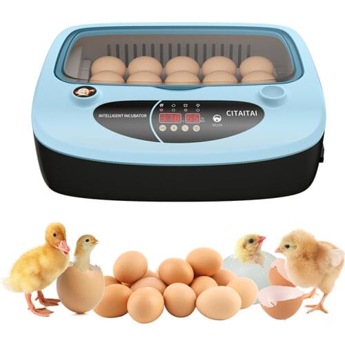 Incubator Egg Household Intelligent Automatic Incubator Farm Brooder Chicken Poultry Hatcher Turner Bird Egg Incubator 15 Eggs