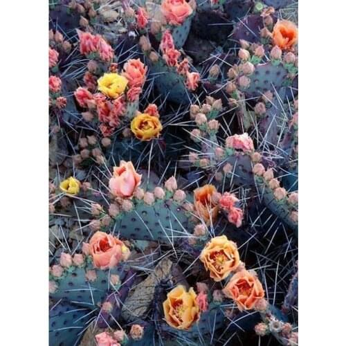 Full Pattern Diamond Embroidery Flower 5D Diy Diamond Painting cactus mosaic Crystal Cross Stitch Crafts Rhinestone Decor GH234