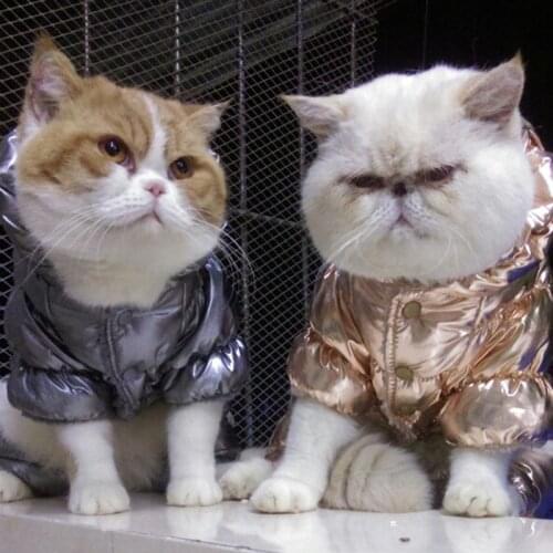 Winter Warm Pet Cat Clothes for Cats Kedi Katten Clothing Puppy Coat Jumpsuit Cat Costume Pajamas gatos productos para mascotas