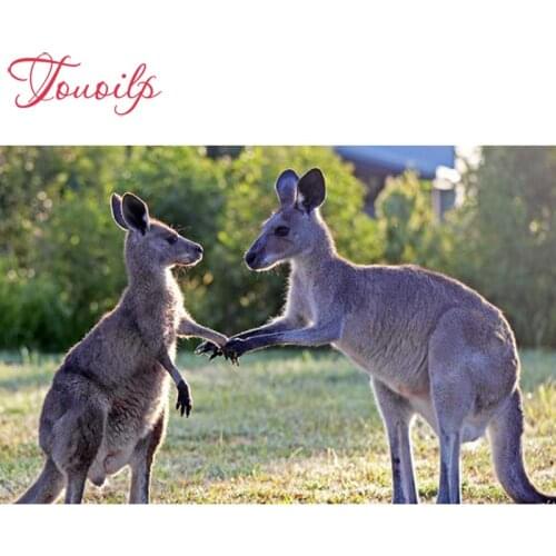 TOUOILP DIY Full Square/round 5D Diamond Painting kangaroo 5D DIY Diamond Embroidery Cross Stitch Rhinestone Mosaic Home Decor