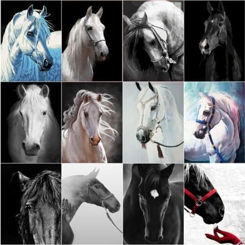 GATYZTORY Paint By Number Black Horse White Horse Pictures By Number Drawing On Canvas Handpainted Animal Art Gift Kit Diy Home