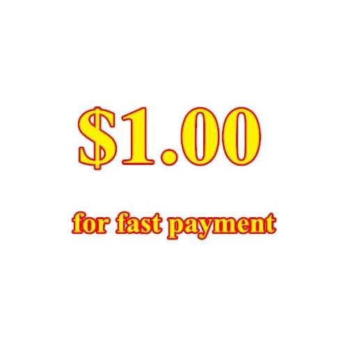 1.00 ONE DOLLAR For Fast Payment (ONLY VALID BEFORE CONTACTING US)