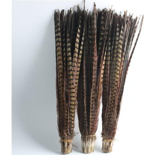 Promotion 100pcs/lot Lady Amherst Pheasant Tail feathers 50-55cm 20-22inch carnival celebration DIY Decoration plumes
