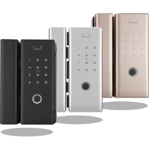 Smart Glass Door Biometric Fingerprint Lock RFID Card Code Remote Control Phone App Wifi Tuya Office Electric Lock Sliding Door