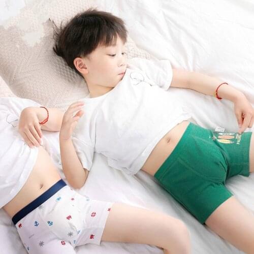2Pcs High Quality Panty Childrens Underwear for Kids Cartoon Shorts Soft Cotton Underpants Boys Teenage Striped Panties 10-45kg