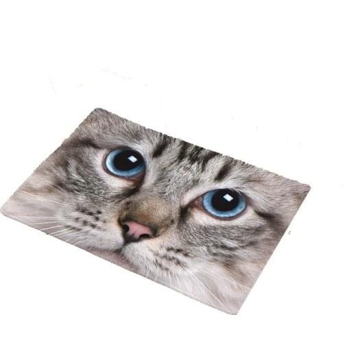 CAMMITEVER Rugs