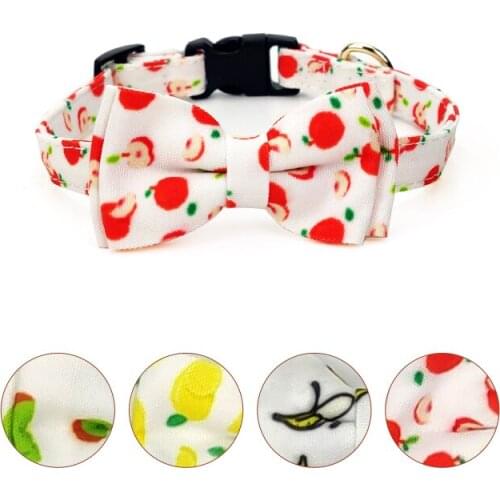 All Seasons Puppy Dog Products Poodle Pit Bull Fruits Pattern Lead Dog Leashes Collar Personalized Address Tags Collar for Dogs