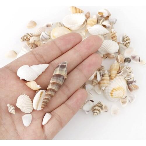 Natural Shell Conch Rsein Fillings Tools Ocean Style Filler Decoration Shell for DIY Epoxy Resin Mold Jewelry Making