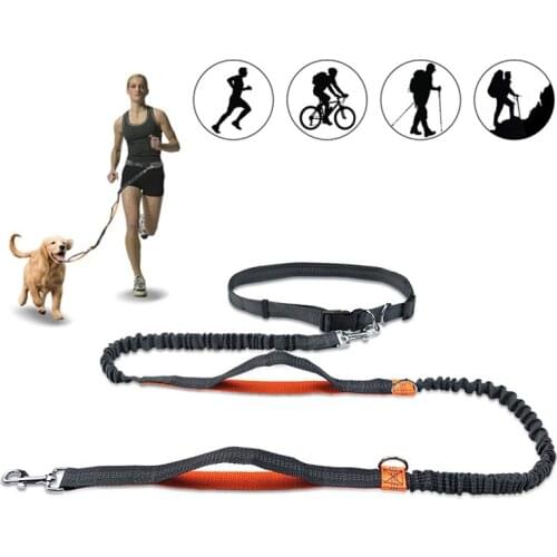 Retractable Dog Leash Hands Free Bungee Pet Dog Leashes Dogs Harness Collar Jogging Dual Handle Lead and Adjustable Waist Rope
