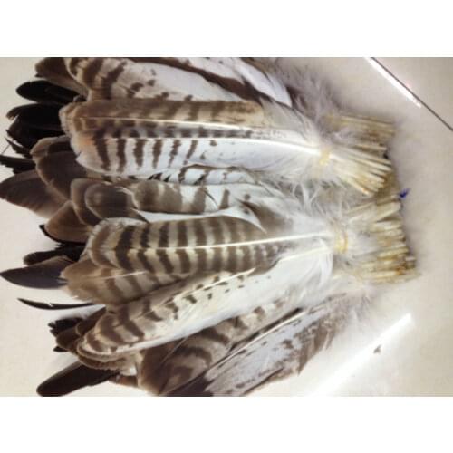 Wholesale high quality 65pcs Scarce Pattern natural eagle feather 25-40cm / 12-16inch various decorative diy collect