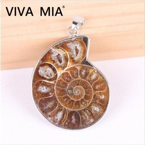 1Pc Seashell Pendants Natural Fossils Snail Ocean Conch Reliquiae Pendant chain for Women Men Necklace Gift
