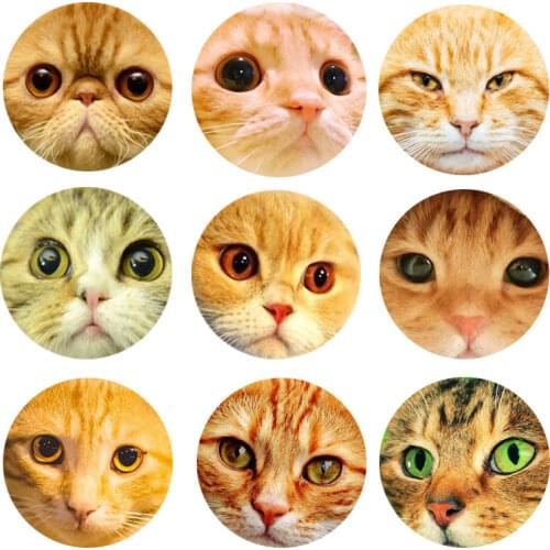 FLTMRH New Cat Face Patterns 10pcs mixed 8mm/10mm/12mm//20mm/25mm Round photo glass cabochon flat back Making findings