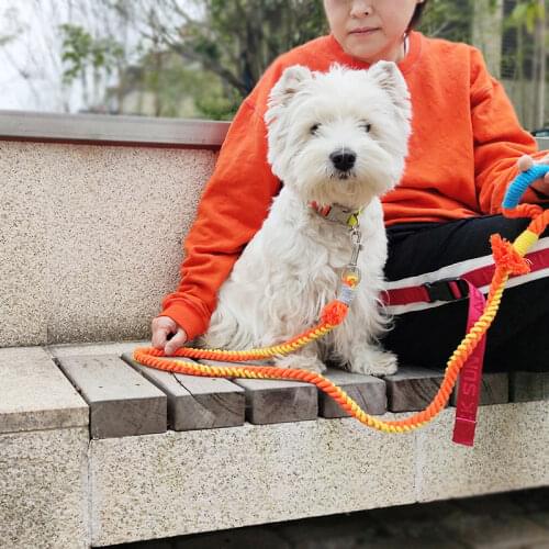 Colorful Soft Pet Dogs Chain Traction Rope Leads Free Hands Diagonally Dog Rope Explosion-proof Chain for Large Dogs D5096