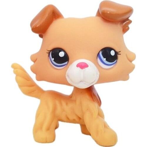 LPS CAT real Littlest pet shop cute toys dog #2452 yellow collie blue eyes child animal toys gift without magnet