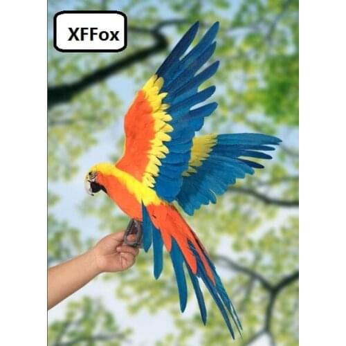 Big real life orange&blue parrot model bird foam&feather simulation wings parrot doll gift about 45x60cm xf2125