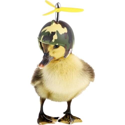 2pcs Chicken Helmet Funny Chicken Helmet Pet Protective Gear Sun Rain Protection Helmet Costumes Bird Hens Pet Supplies
