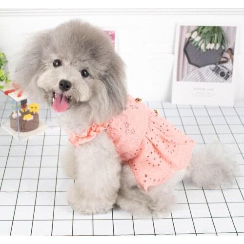 Pet Dog Dress Hollow Cat Clothing Small Dog Costume Chihuahua Puppy Yorkshire Poodle Bichon Pomeranian Schnauzer Dog Clothes