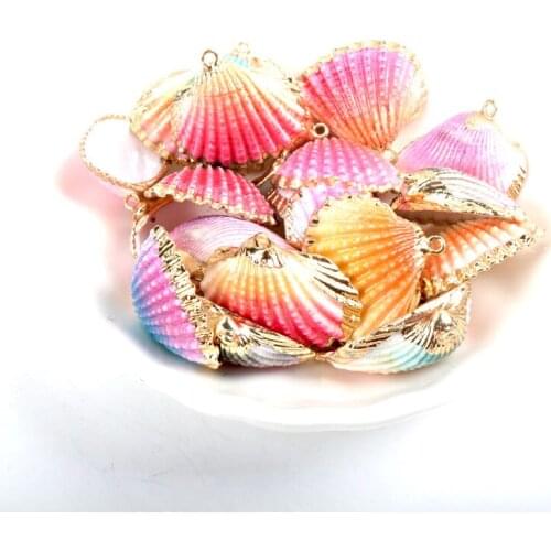 5 designs Gold plating DIY conch Colorful Natural Seashells Decorations Scallop conch Crafts Decor Ornament 5Pcs KL273