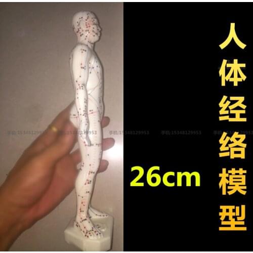 Medical use human meridian point model super clear acupuncture male model model of traditional Chinese experiment 26cm