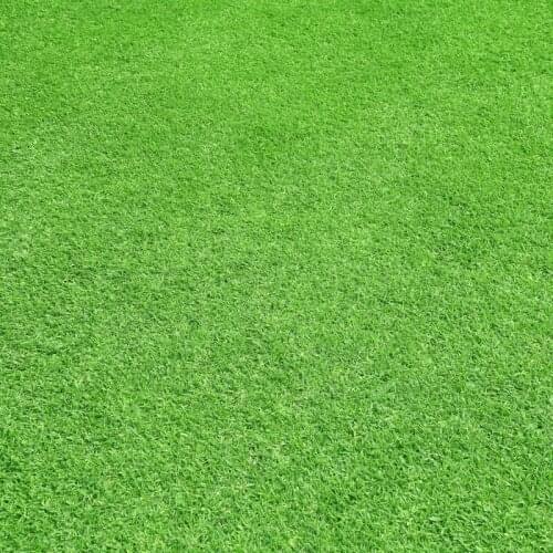 Laeacco Green Grass Wall Floor Portrait Baby Children Photography Backgrounds Customized Photographic Backdrop For Photo Studio