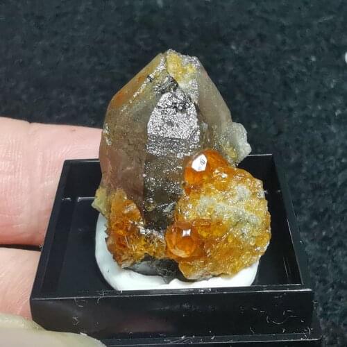 100% natural garnet and crystal mineral specimen stone decoration crystal healing energy geology teaching collection (send box)