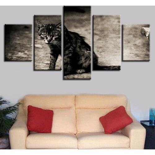 Black and white dark staring cat Canvas HD Prints Posters Home Decor Wall Art Pictures 5 Pieces Art Paintings No Frame